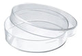Caja Petri 60 13 10