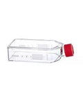 Frasco Cultivo Celular, Biolife 